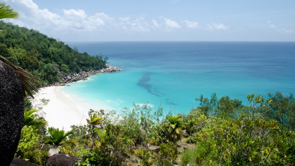 Explora la ciudad dorada y Seychelles